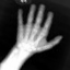 008502_fixed_6.png