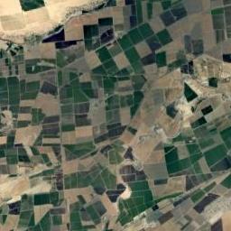 rectangular_farmland_004.jpg