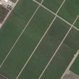 rectangular_farmland_008.jpg