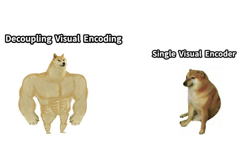 Decoupling Visual Encoding.png