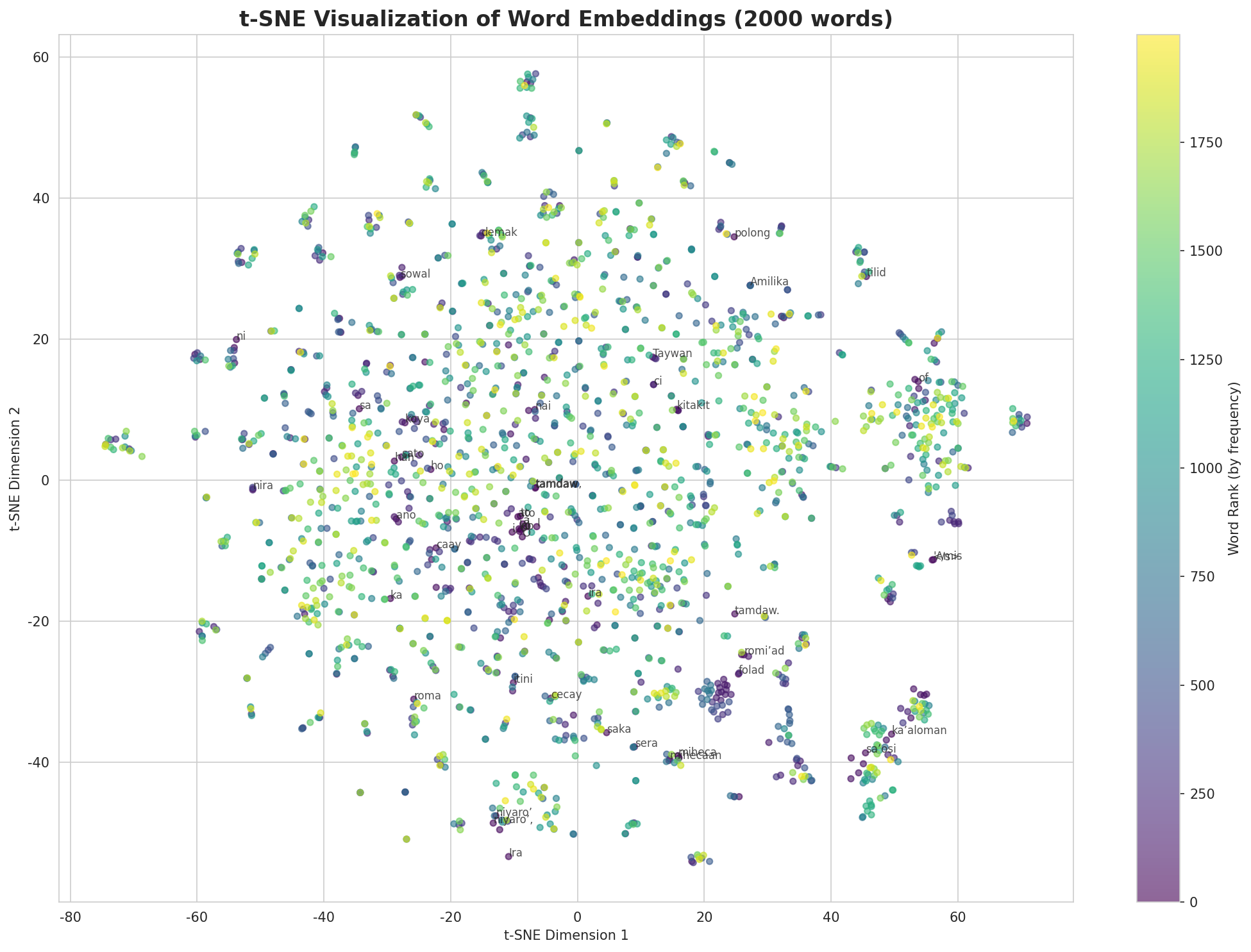 t-SNE Words