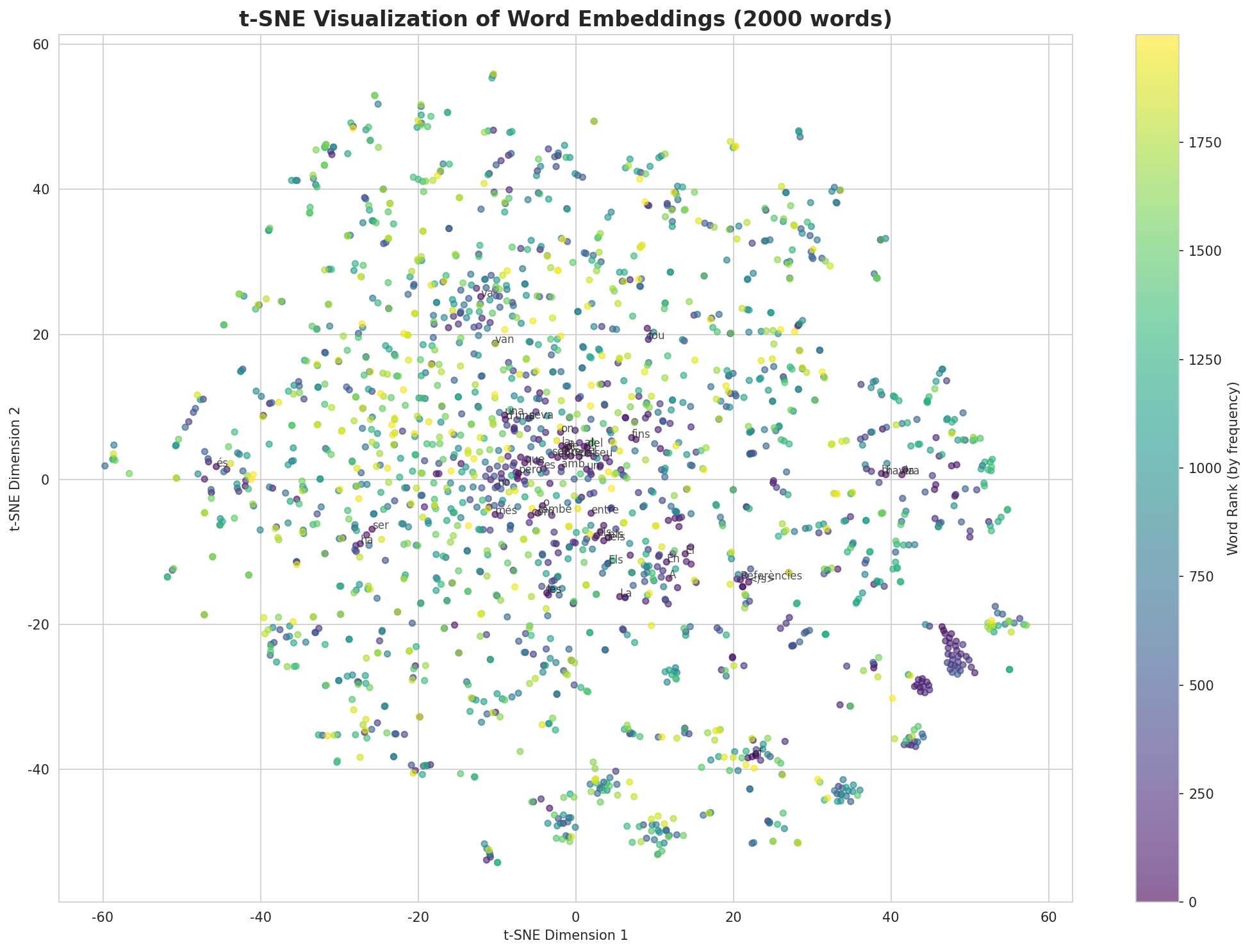 t-SNE Words