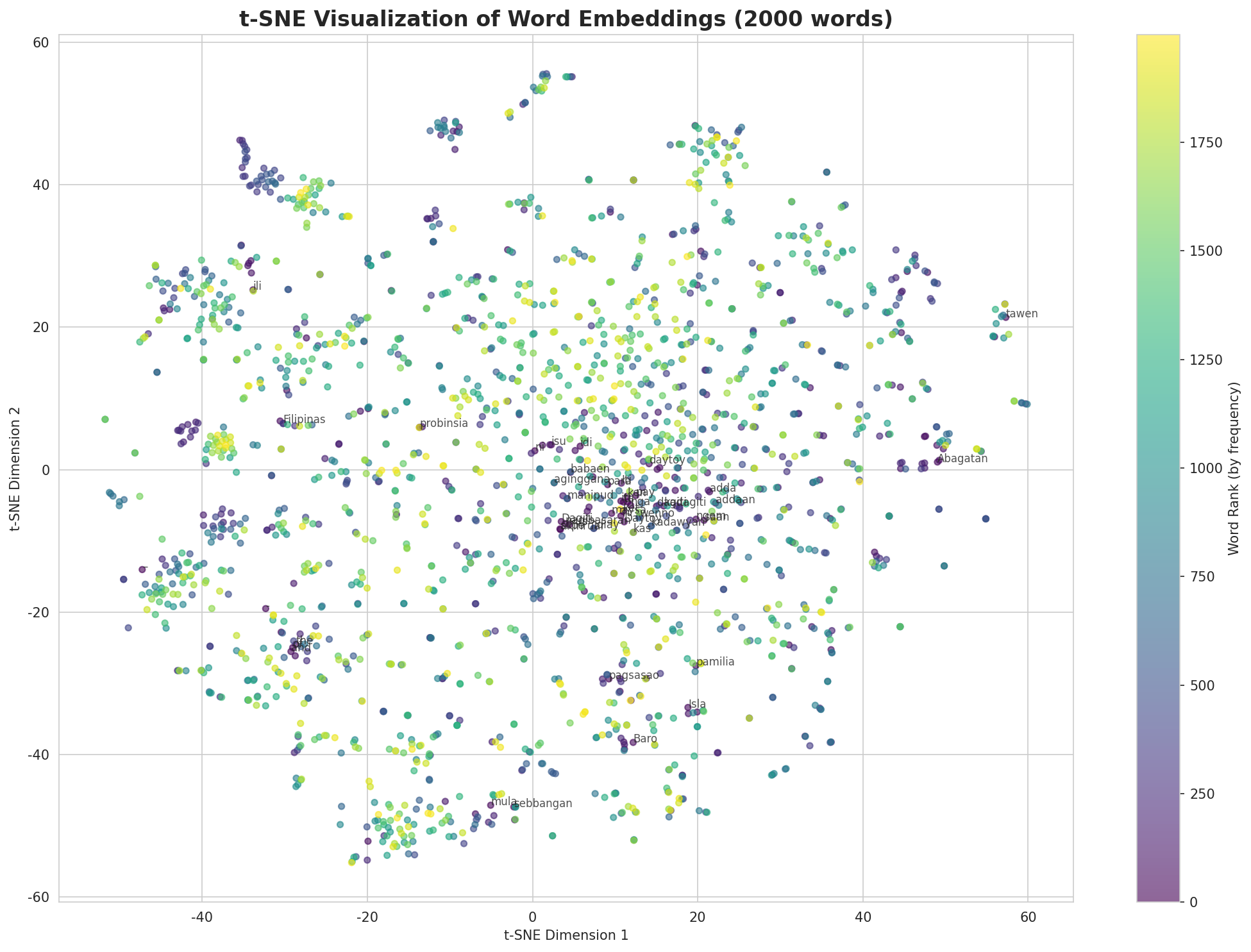 t-SNE Words