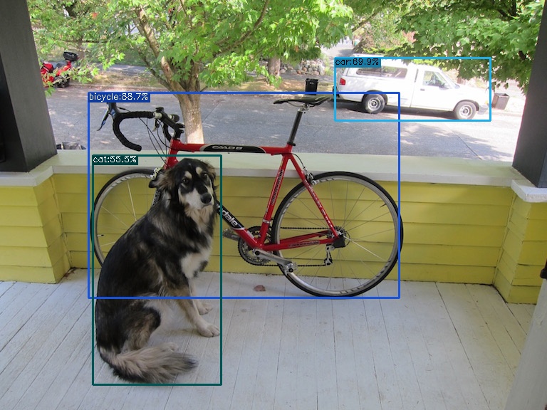 Example image with a dog and a bike